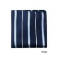 Zijden pochet voor heren, klassiek donkerblauw met lichtblauwe verticale strepen - Donkerblauw Gestreept(PS14S)