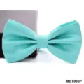 Mintgroene gestructureerde vlinderstrik voor heren, elegante business huwelijk accessoire. - Heldere Cyaan Mesh (MBT986P)