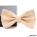 Farfallina testurizzata champagne da uomo, classico accessorio per matrimonio elegante. - Champagne (MBT987P)