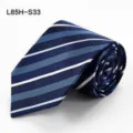 Heren zijden stropdas gestreept klassiek zakelijk casual trouwpak mode accessoire stijl - L85H-S33