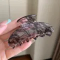 Pinza de pelo de encaje negro estilo coreano, accesorio de resina elegante para peinados diarios. - Negro Encaje