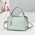 Light green embossed mini handbag with metal lock, top handle and stylish crossbody strap. - Green