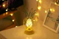 LED Ananas Bureaulamp IJzeren Nachtlampje Interieur Decoratie Slaapkamer Warm Licht - Warm Licht Tweekleurig