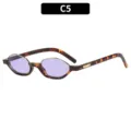 Gafas de sol de moda con montura carey y lentes de color morado claro variante modelo C5 - C5 Montura Carey Lente Purpura