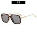 Vintage double bridge square sunglasses for women, fashionable retro oversized sun glasses. - C2-Demi Frame Light Grey Lens