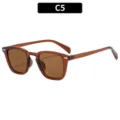 Fashion retro square sunglasses with brown transparent frames for daily sun protection. - Brown Frame Tea Lens