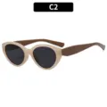 Stylish women cat-eye sunglasses with gradient frames for summer outdoor UV protection. - Jelly White Frame Brown Legs Gray Lens