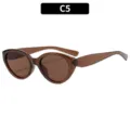 Stylish cat-eye sunglasses for women, trendy translucent brown frame, UV protection. - Clear Tea Frame Tea Lens