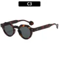 Fashion Japanese style geometric frame sunglasses for men and women, trendy sun glasses outdoor. - C3-Tortoiseshell Frame Grey Lens