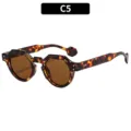 Retro polygon tortoiseshell sunglasses for men and women, stylish brown lenses outdoor eyewear. - C5-Tortoise Frame Brown Lens