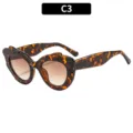 Occhiali da sole irregolari tartaruga alla moda, lenti sfumate di tendenza, modello C3. - C3 Montatura Tartarugato Lenti Doppio Tè