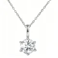 Primo piano dettaglio di una classica collana con ciondolo in argento a sei griffe. - Ciondolo Solo (Senza Catena) / Argento
