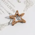 Pinza de pelo en estrella marron mate, pequeno clip de agarre metalico elegante para peinados. - Estilo Pentagrama / Café Claro