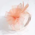 Close-up view of elegant pink mesh flower feather fascinator headpiece detail accessories - Feather Orange Pink