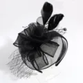 Close-up details of black feather mesh fascinator headband, elegant party hair accessory. - Black Feather Embroidery