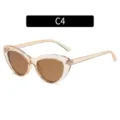 Fashion transparent cat-eye sunglasses for women, trendy brown lens street style eyewear. - Cat Eye Style (2104) / Champagne Transparent Frame With Tea Lenses