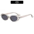 Retro oval sunglasses for men and women, trendy translucent nude frame with dark lenses C3 - C3 Clear Light Tea Frame Black Gray Lens