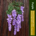 Vibrant purple artificial wisteria silk flower vine hanging decoration for wedding - Three Branches Hanging Style (2-Piece Set) / Purple