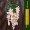 Long champagne artificial hanging wisteria flower vine for wedding and party decoration - Three Branches Hanging Style (2-Piece Set) / Champagne