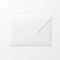 Elegant minimalist white envelope for small greeting cards or floral message tags - Envelope