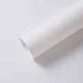 Rotolo di carta modellante bianca spessa 157g per confezionamento bouquet fiori - 200g Extra Spessa 10 Pezzi/Confezione (42x55cm) / Bianco