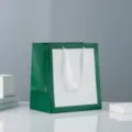 Green paper gift bag with white panel and ribbon handles, simple design for retail packaging. - Small (15*6*21cm) / Parrot Green