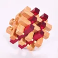 Close-up detail of wooden interlocking brain teaser puzzle, natural wood texture and smart design. - Colorful Eighteen Arhats Puzzle