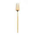 Gold Stainless Steel Western Dinner Fork Variant, Sleek Mirror Finish Cutlery Tableware - Dinner Fork / Titanium Gold