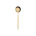 Gold stainless steel dessert spoon, sleek shiny finish modern flatware tableware item. - Tea Spoon / Titanium Gold