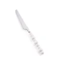 Coltello da bistecca in acciaio inossidabile con elegante manico in ceramica bianca. - Coltello da Tavola / Bianco