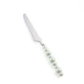 Coltello da bistecca in acciaio inossidabile con manico in ceramica perlata verde chiaro - Coltello da Tavola / Verde