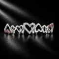 Detailansicht von Luxus Hip Hop Herz Grillz mit Zirkonia und roten Edelsteinen. - Silber
