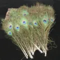 Plumes de paon naturelles pour arrangement de vase décoration maison artisanat détail - Couleur naturelle