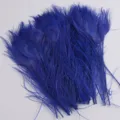Gros plan détaillé d'un bouquet de plumes de paon teintes en bleu pour décoration florale et art. - Bleu Saphir