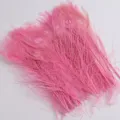 Gros plan de plumes de paon naturelles teintes en rose pour la décoration intérieure et les vases. - Rose