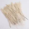 Gros plumes de paon blanches blanchies naturelles plumes décoratives pour vase arrangement - Blanc Cassé