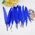 Vibrant royal blue craft feathers for DIY art projects, wedding decor and accessories. - Sapphire Blue