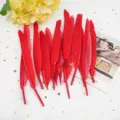 Red craft feathers for DIY jewelry making, wedding decorations, and handmade art projects. - Red