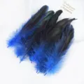 Blue gradient rooster feathers craft DIY decoration accessories for handmade headwear toys 50pcs - Sapphire Blue