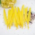 Yellow craft feathers bulk for DIY wedding crafts, wing pens, and handmade jewelry accessories. - Yellow