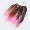 Colorful rooster tail feathers for DIY craft decoration and handmade headdress design projects. - Pink