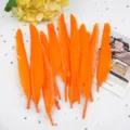 Πορτοκαλί Φτερά DIY Αξεσουάρ Χειροτεχνίας Διακόσμηση Γάμου Μονόπλευρο Φτερό - Πορτοκαλί