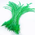 Vibrant green trimmed rooster tail feathers for DIY crafts, hat decoration, and apparel. - Grass Green