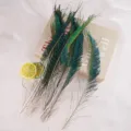 Natural peacock feathers for floral arrangement craft DIY home decor party centerpiece - Natural Color