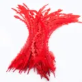 Vibrant red trimmed rooster tail feathers, perfect for DIY crafts, millinery, and apparel. - Red