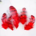 Red black craft feathers for DIY dream catchers cat toys handmade jewelry accessories 100pcs - Red (Approx. 100 Pcs)