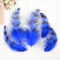Vibrant blue black striped craft feathers for DIY dream catchers and party decorations. - Royal Blue (Approx. 100 Pcs)