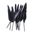 Black natural craft feathers for DIY wedding decoration handmade accessories wing making supplies - Black