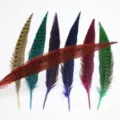 Plumes de faisan colorées pour artisanat DIY, décoration de performance de scène de théâtre. - Rouge