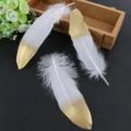 DIY handmade white and gold dipped feathers for clothing accessories and craft decoration projects. - Gold Head